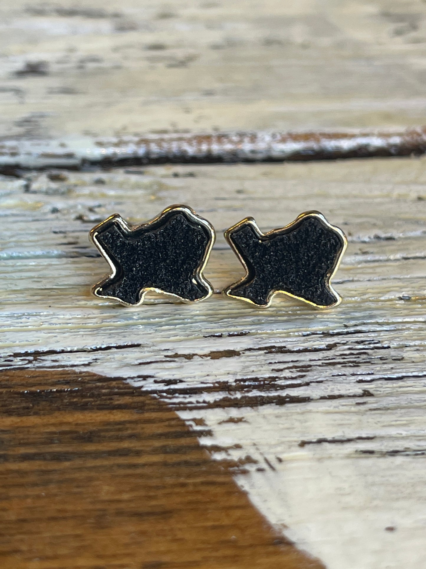 Texas Druzy Earrings