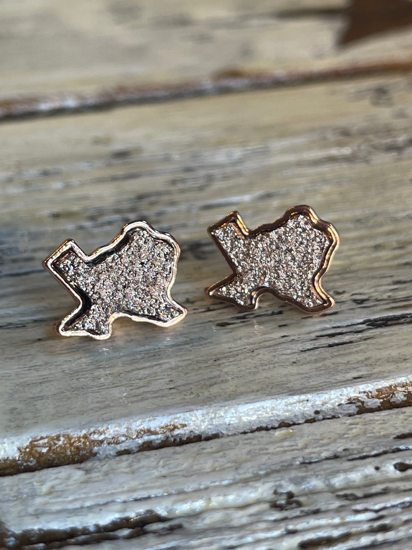 Texas Druzy Earrings