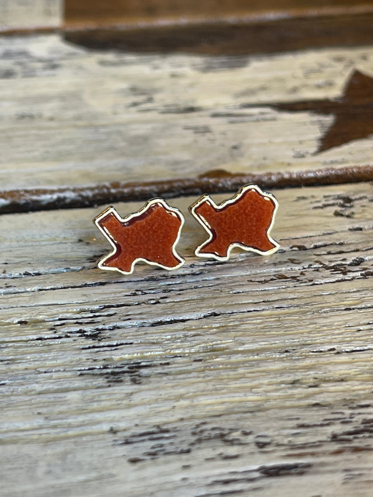 Texas Druzy Earrings