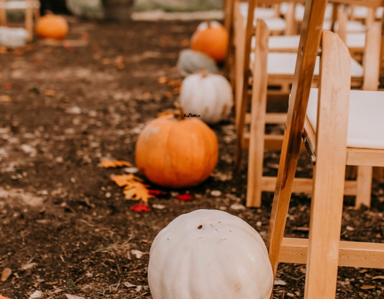 TG Holiday Specials 50% Off